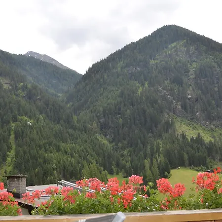 公寓 Silvia-2 By Interhome 卡普尔