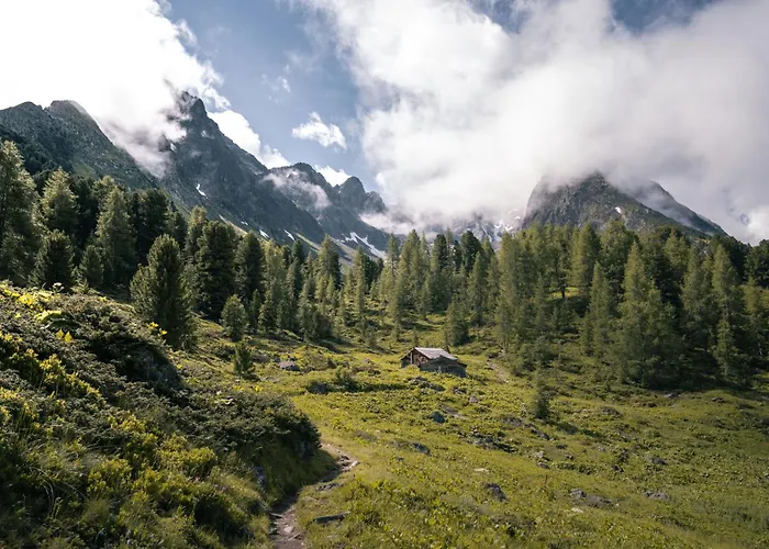 Silvia-2 By Interhome * كابل